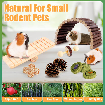 24 PCS Hamster Chew Toys, Natural Apple Wood Timothy Grass Bunny Toys, Small Animal Molar Teeth Care Toy Set, Cage Accessories for Hamsters, Guinea Pig, Rabbit, Chinchilla, Gerbil