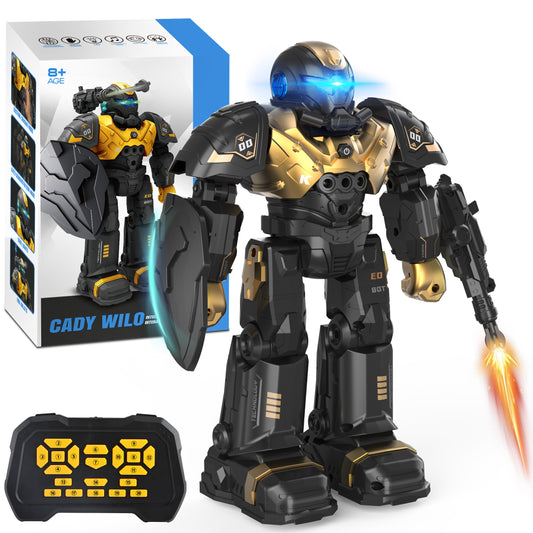 Kids RC Robot Toy, Smart Robot with Talking, Singing, Dancing, Interactive Touch Sensor and Programmable actions, Remote Control Toys for Kids ages 3-12 ,Gold