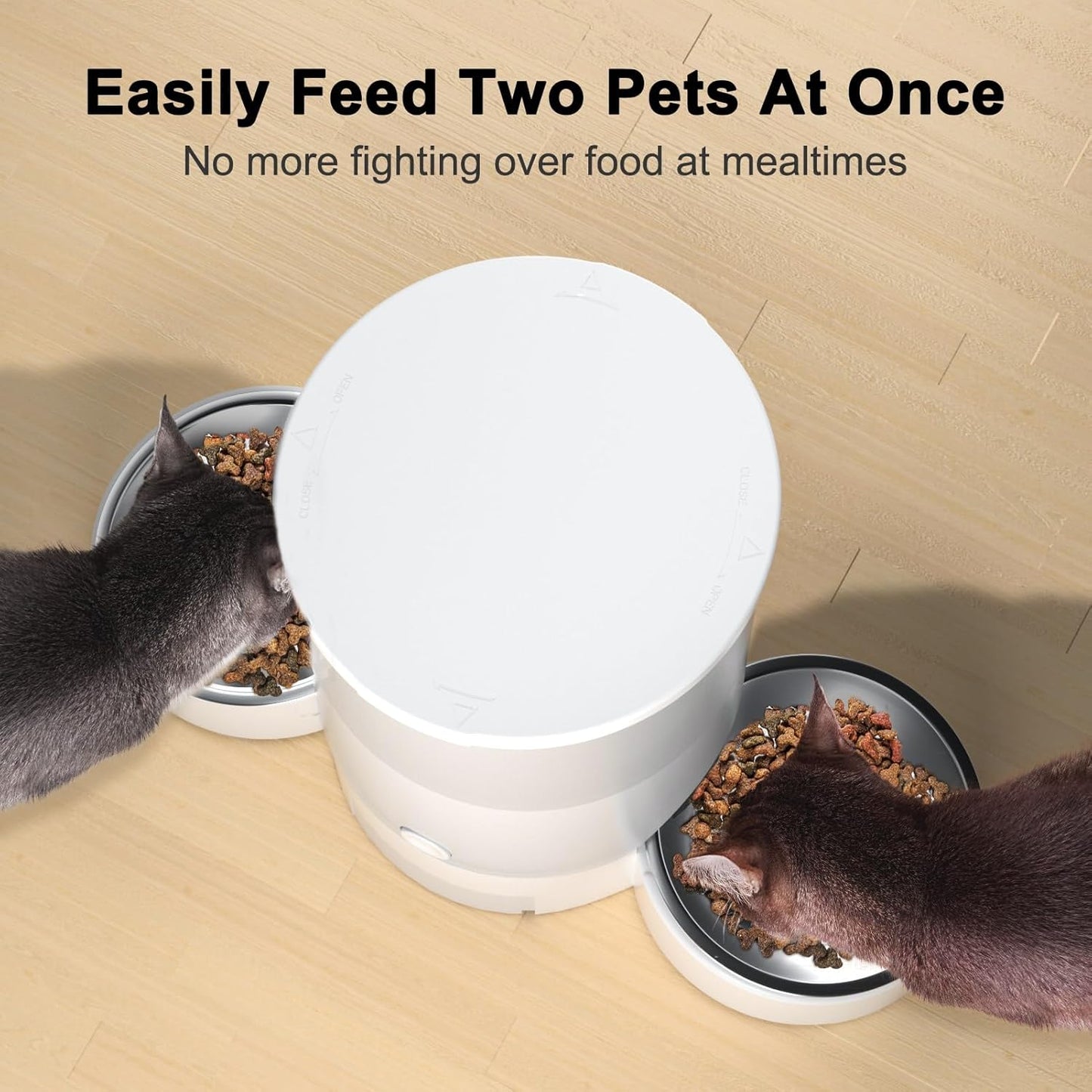 Automatic Cat Feeder, Easy Cleaning Voice Reminder Timed Cat Feeder Dual Power Supply Dual Bowl for Household