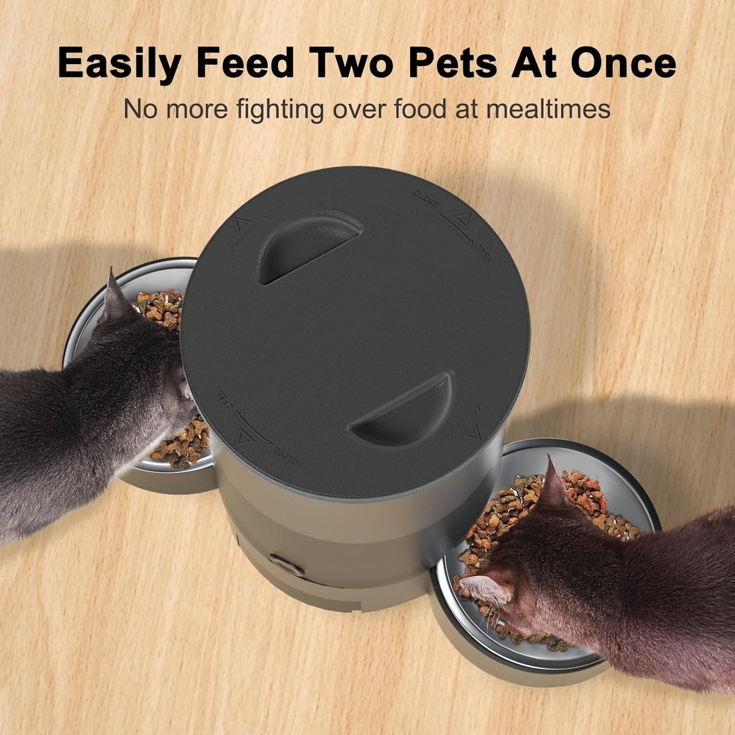 Automatic Cat Feeder, Easy Cleaning Voice Reminder Timed Cat Feeder Dual Power Supply Dual Bowl for Household
